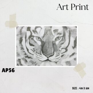 Tiger - Pencil Sketch