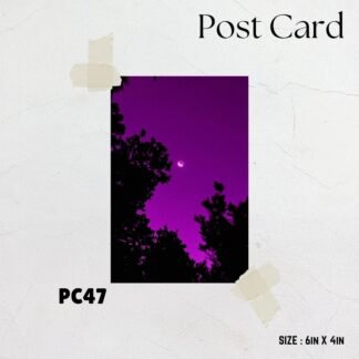 Dawn at a hill station 2