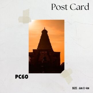 Big Temple - Thanjavur - silhouette